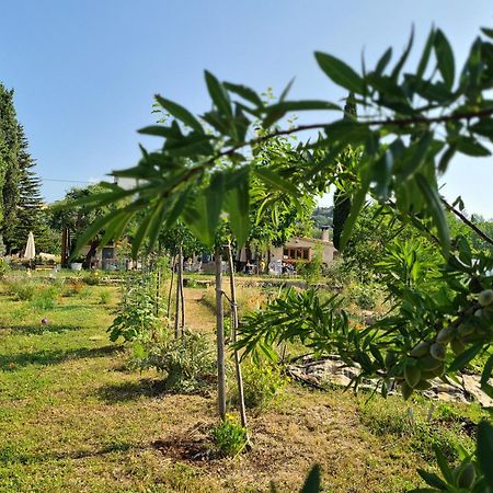 Villa La Ferme Constantin Fayence Exterior foto