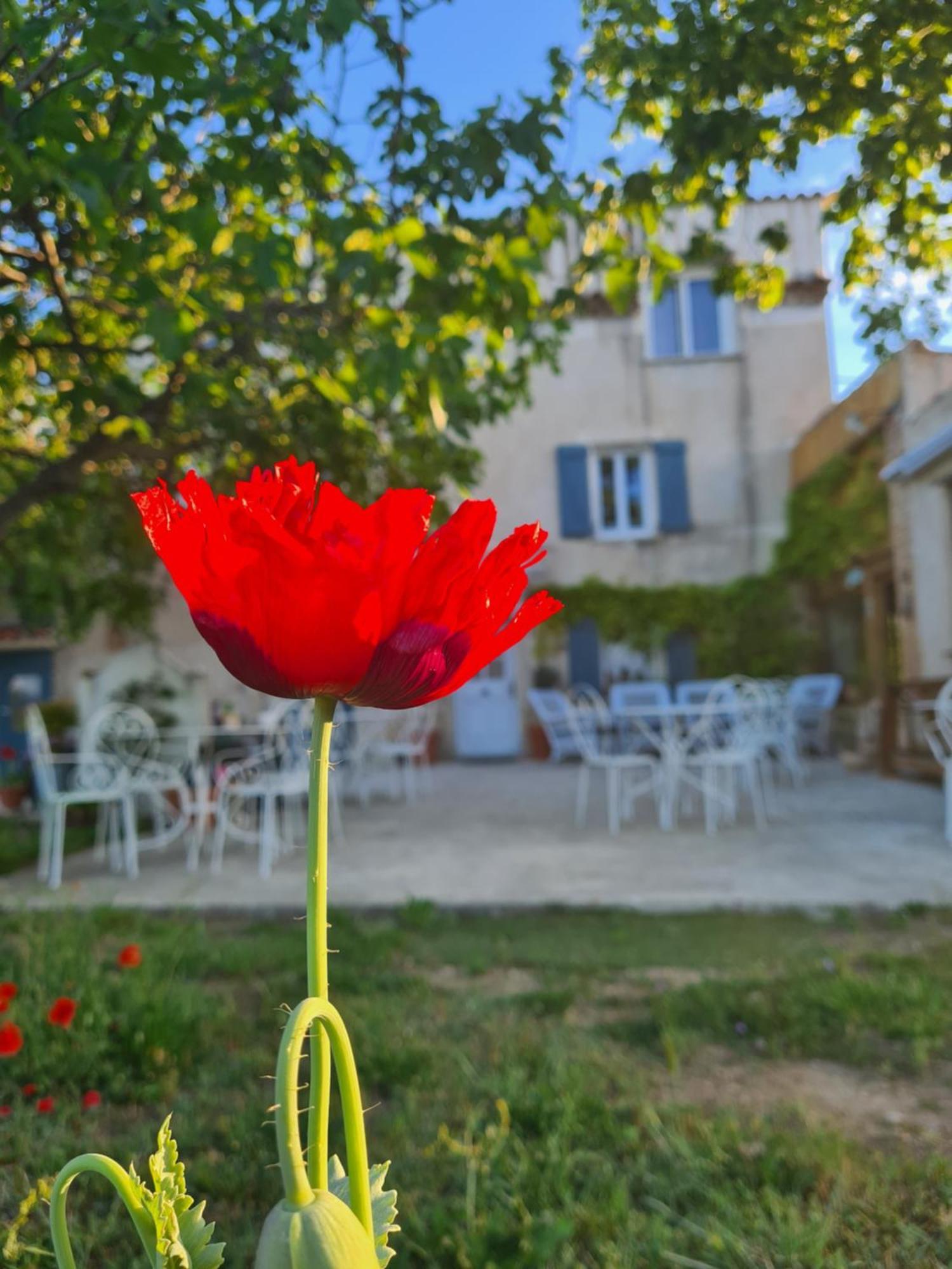 Villa La Ferme Constantin Fayence Habitación foto